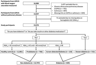 Blood oxygen saturation is lower in persons with pre-diabetes and screen-detected diabetes compared with non-diabetic individuals: A population-based study of the Lolland-Falster Health Study cohort